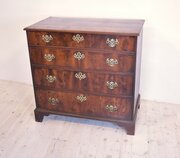 Yew Wood Chest Of Drawers