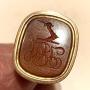 seal
