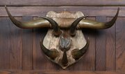 19th?Century Mounted Arrangement Of Cattle Horns 