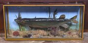 Taxidermy Pike In Case