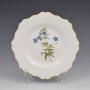 Regency Ridgway Porcelain Botanical Dessert Plate 