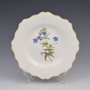 Regency Ridgway Porcelain Botanical Dessert Plate 