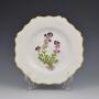 Regency Ridgway Porcelain Botanical Dessert Plate 