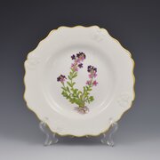 Regency Ridgway Porcelain Botanical Dessert Plate 