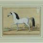Pair Rare 18th Century Horse Prints by Picart #2