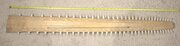 70 Tooth Large Sawfish Bill Rostrum 