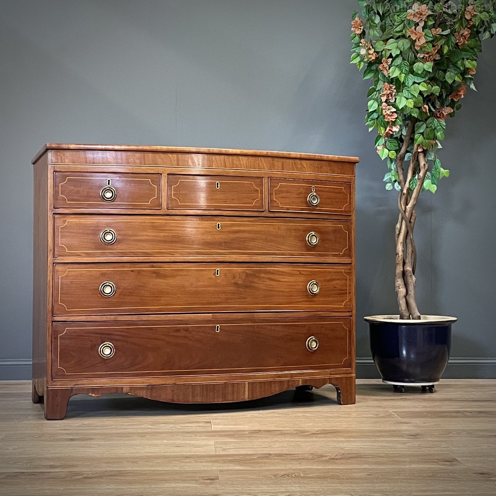 Victorian Large Bow Front Mahogany Chest Antiques Atlas