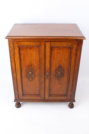Small Edwardian Oak Bookcase / Hall Cupboard