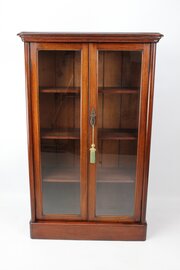 Tall & Slim Victorian Mahogany Bookcase / Cabinet