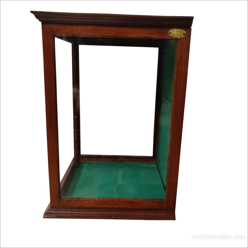 Antique Display Case Antiques Atlas