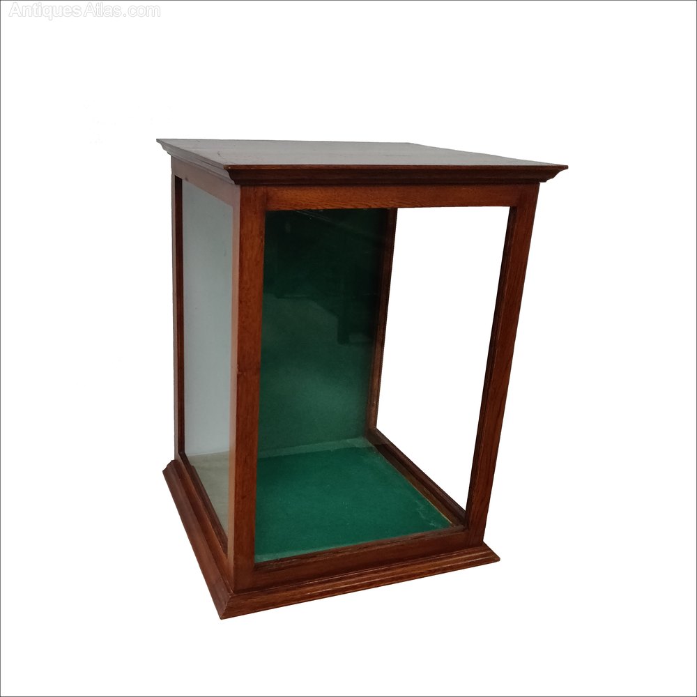 Antique Display Case Antiques Atlas