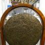 gong