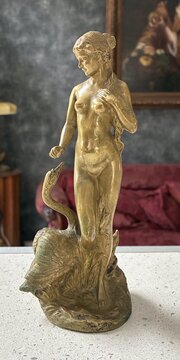 Leda And The Swan Bergman/ Namgreb