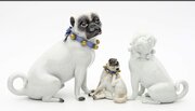 Three German Pugs