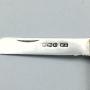 Vintage Silver and Mother of Pearl Fruit Knife  1930 Sterling Silver Folding Fruit Knife