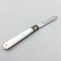 Vintage Silver and Mother of Pearl Fruit Knife