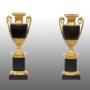 Pair of Charles X Vases in gilded bronze.XIX Cth.
