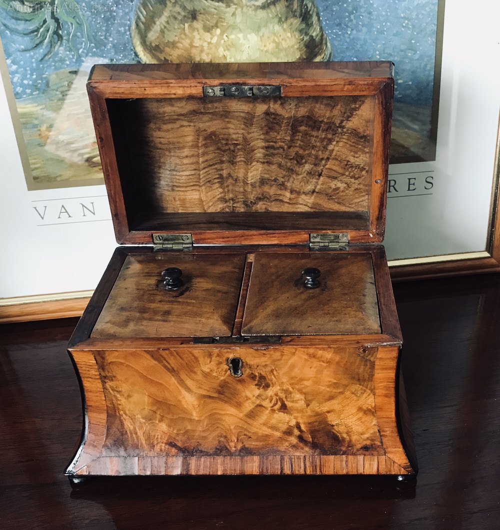 Antiques Atlas Walnut & King Wood Tea Caddy