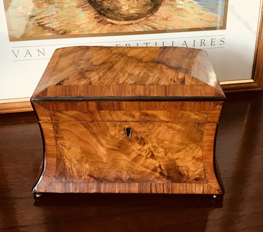 Antiques Atlas Walnut & King Wood Tea Caddy