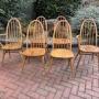 Mid Century Set of 6 Ercol Windsor Dining Chairs