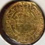 gold coins  gold