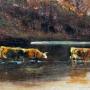 Landscape  oil painting