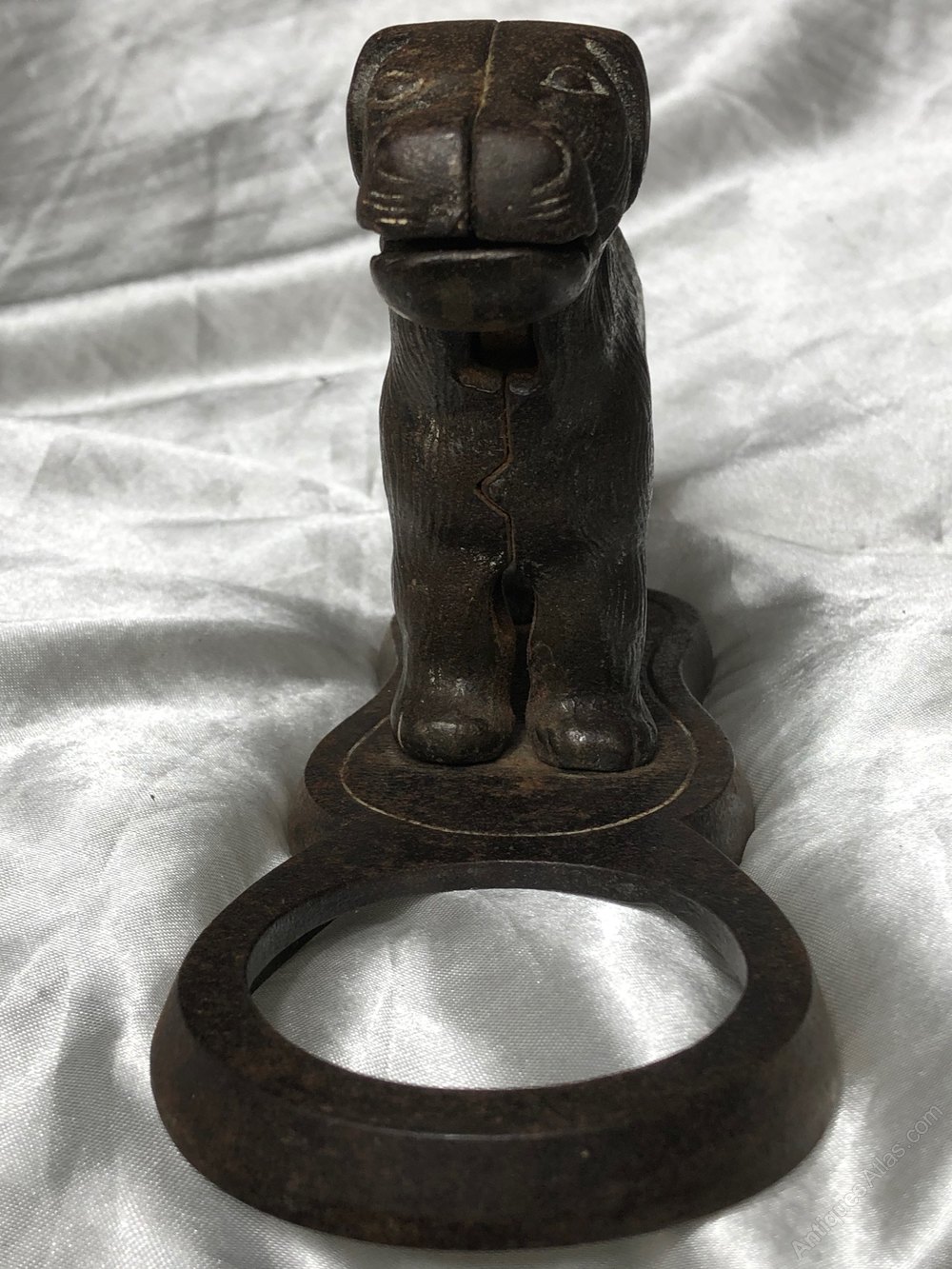 Antiques Atlas Antique Edwardian Cast Iron Dog Nutcracker