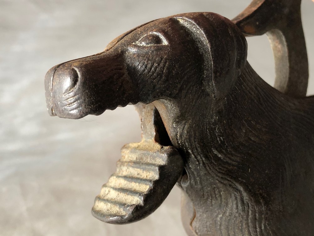 Antiques Atlas Antique Edwardian Cast Iron Dog Nutcracker