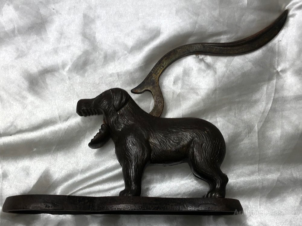 Antiques Atlas Antique Edwardian Cast Iron Dog Nutcracker