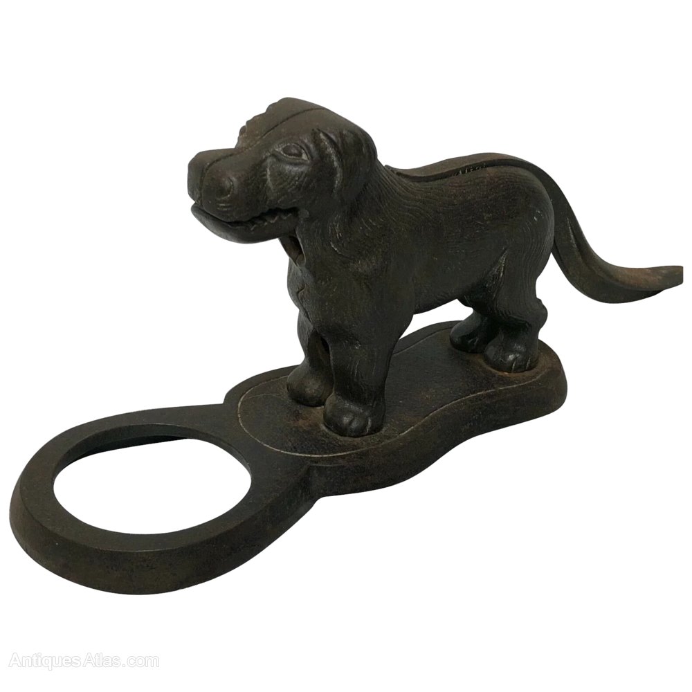 Antiques Atlas Antique Edwardian Cast Iron Dog Nutcracker