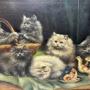 animals