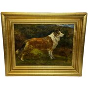 Oil Portrait Of A Rough Collie Framed C1898