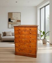 Early 19th Century Pollard Oak