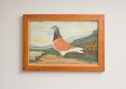 Oil On Canvas - Racing Pigeon Painting.