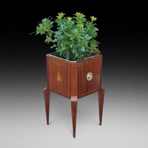 Edwardian Mahogany Jardiniere