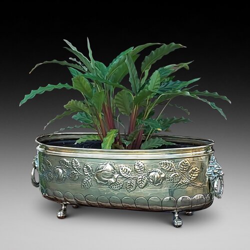 Victorian Brass Planter Trough