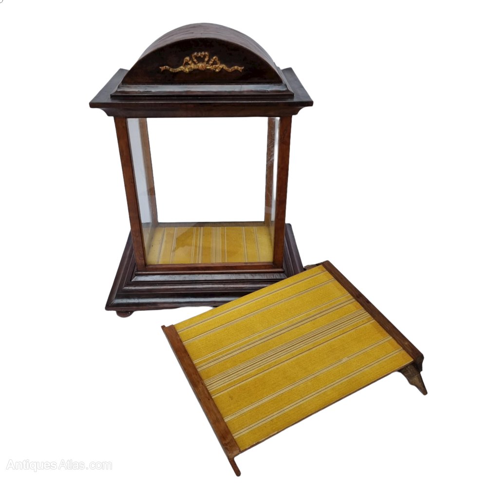 Small Table Top Display Cabinet - Antiques Atlas