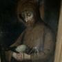 Saint Francis Oil Painting