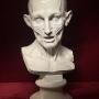 19th Century Life-Size Anatomical Plaster Bust