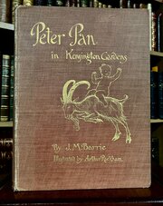 1906 Peter Pan In Kensington Gardens 1st Edition