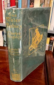 1912 The Water Babies Illustrated By Warwick Goble