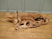 A Hand Carved Live Wood Iguana