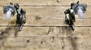 Pair Pretty French Arts & Crafts Cherub Wall Lights
