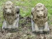 A Pair of Weathered Guardian Lions