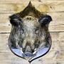 French Boar’s Head Hunting Trophy