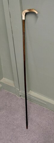 Horn Handled Bamboo Cane Sword Stick