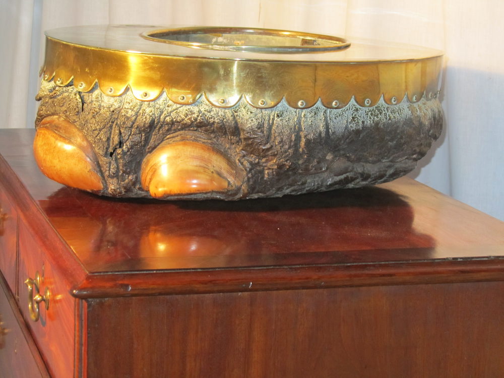 Antiques Atlas Victorian Elephant’s Foot And Brass Jardinière