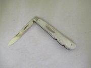 Fruit Knife-Silver / MoP-Hallmarked-Sheffield 1902 