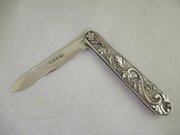 Fruit Knife-Silver Blade & Facings-Sheffield 1895