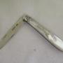 Large Fruit Knife - Silver/MoP - Sheffield 1893